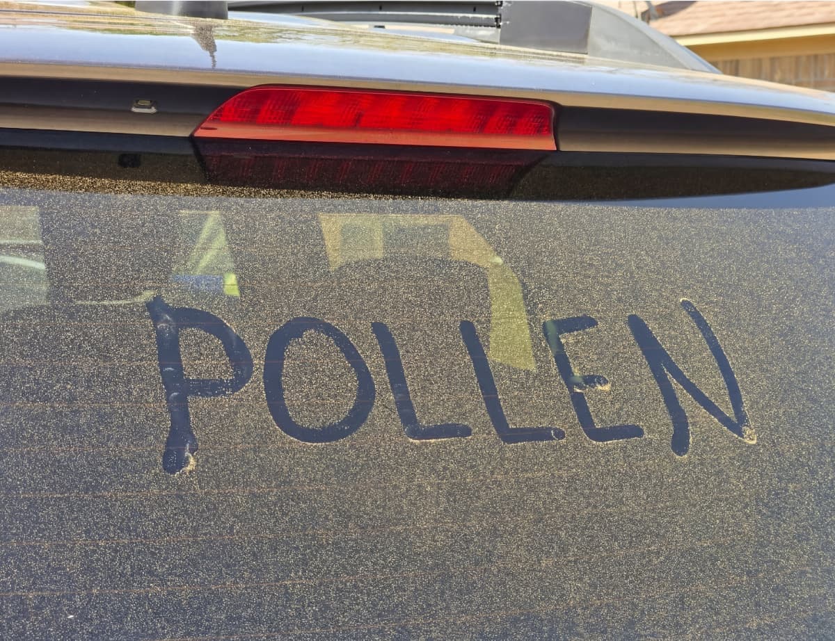 Pollen spelling the word POLLEN on a car window in Greenbrier